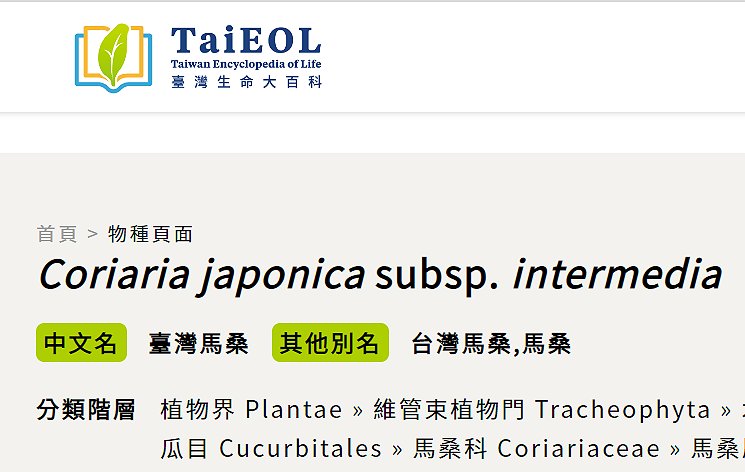 «ö¦¹¦b·sµøµ¡ÂsÄý¹Ï¤ù