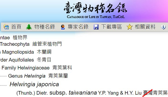 «ö¦¹¦b·sµøµ¡ÂsÄý¹Ï¤ù