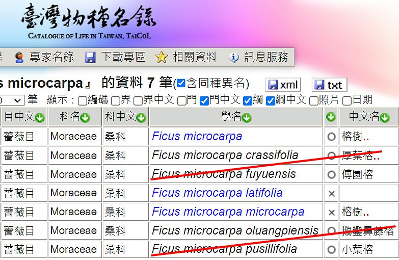 «ö¦¹¦b·sµøµ¡ÂsÄý¹Ï¤ù