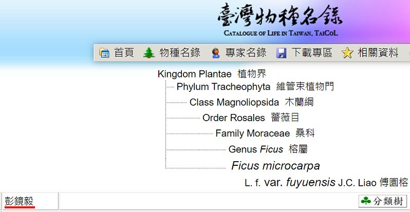 «ö¦¹¦b·sµøµ¡ÂsÄý¹Ï¤ù