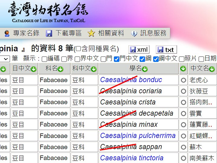 «ö¦¹¦b·sµøµ¡ÂsÄý¹Ï¤ù