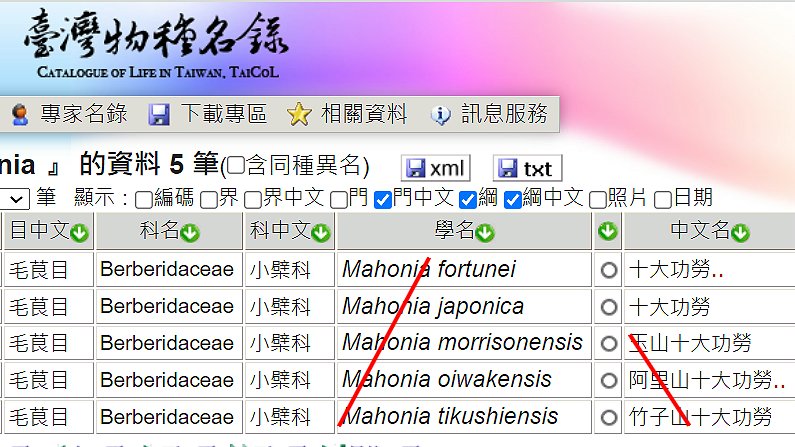 «ö¦¹¦b·sµøµ¡ÂsÄý¹Ï¤ù