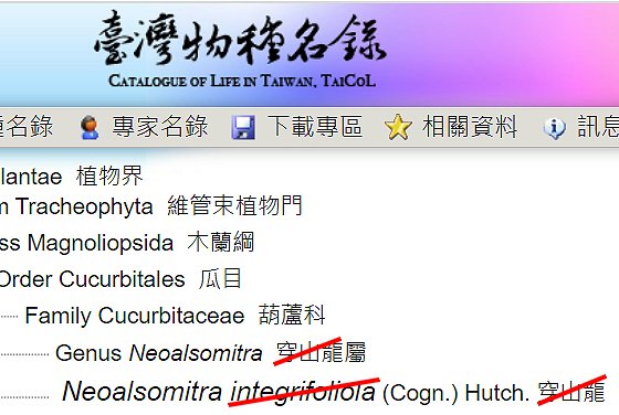 «ö¦¹¦b·sµøµ¡ÂsÄý¹Ï¤ù