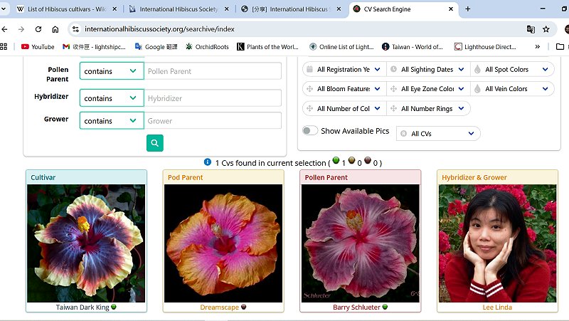 «ö¦¹¦b·sµøµ¡ÂsÄý¹Ï¤ù