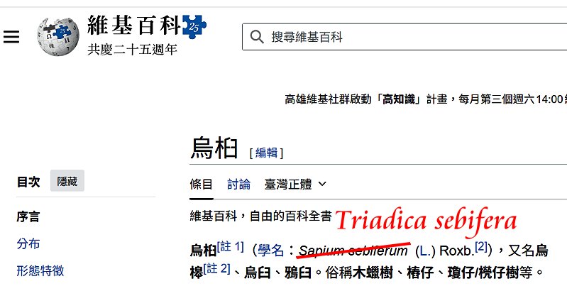 «ö¦¹¦b·sµøµ¡ÂsÄý¹Ï¤ù