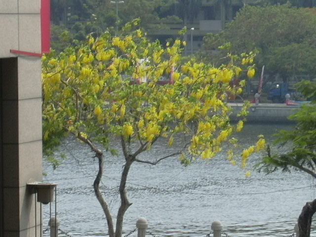 按此在新視窗瀏覽圖片