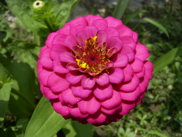 按此在新視窗瀏覽圖片