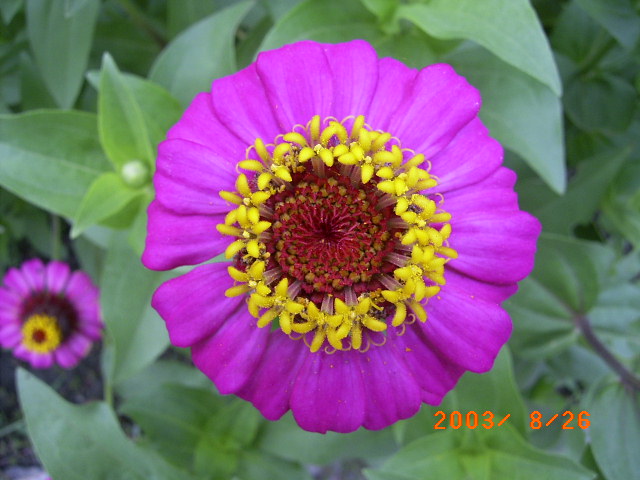 按此在新視窗瀏覽圖片