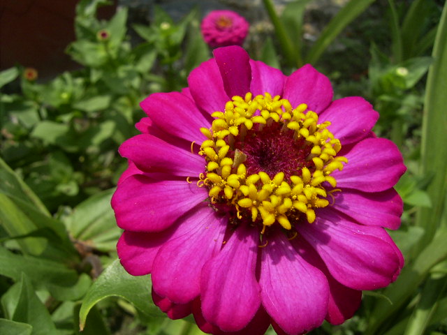 按此在新視窗瀏覽圖片