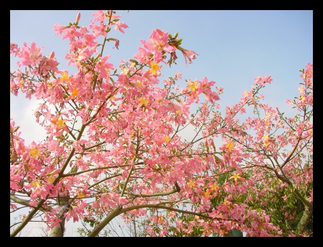 按此在新視窗瀏覽圖片