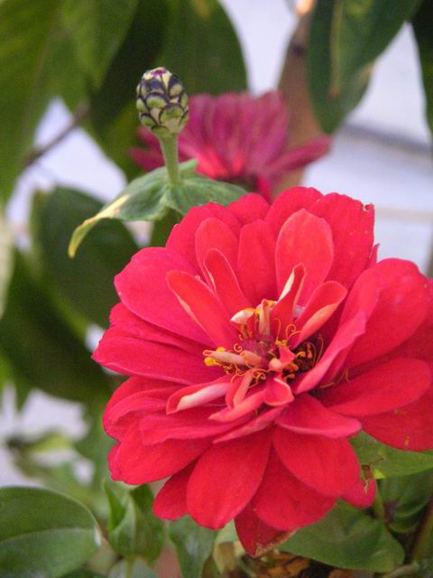 按此在新視窗瀏覽圖片