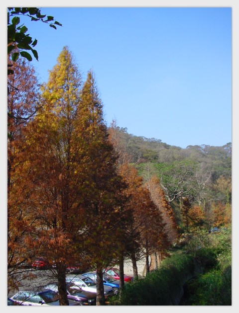 按此在新視窗瀏覽圖片