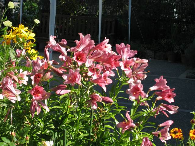 按此在新視窗瀏覽圖片