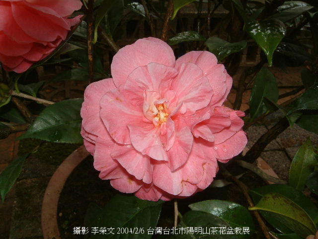 按此在新視窗瀏覽圖片