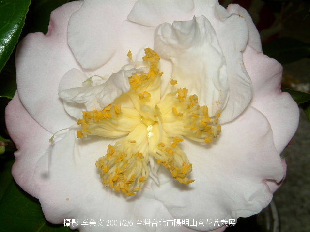 按此在新視窗瀏覽圖片