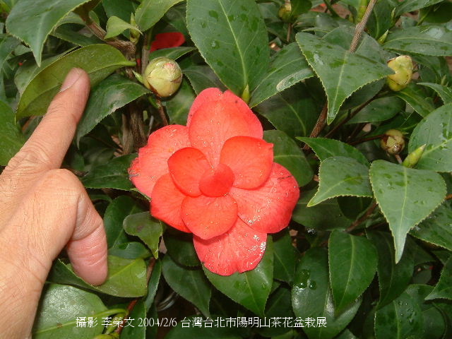 按此在新視窗瀏覽圖片