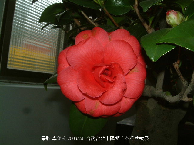 按此在新視窗瀏覽圖片