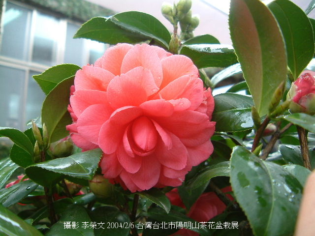 按此在新視窗瀏覽圖片