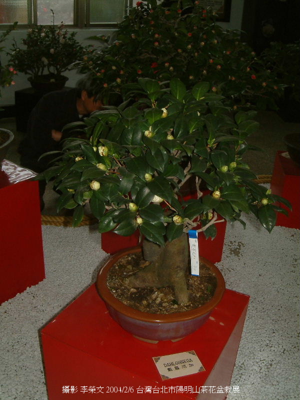 按此在新視窗瀏覽圖片