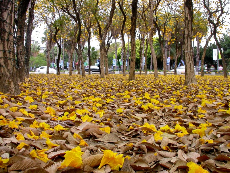 按此在新視窗瀏覽圖片