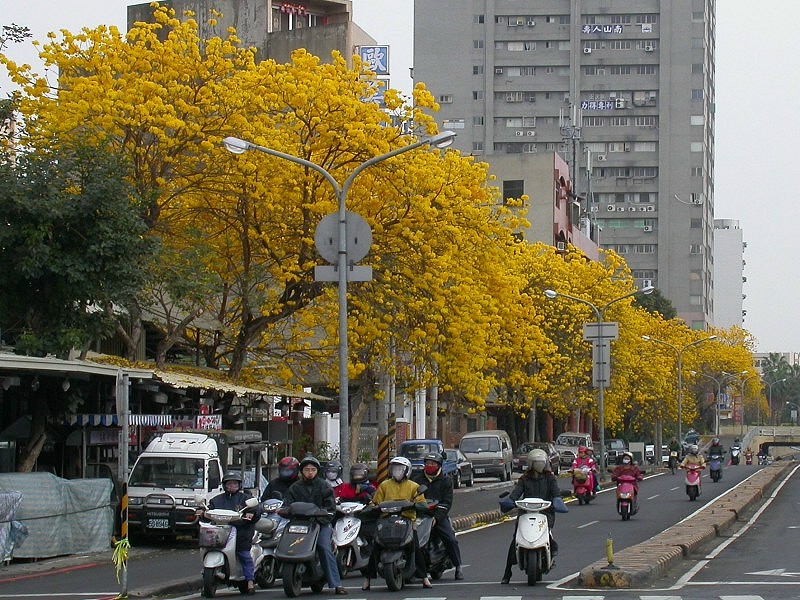 按此在新視窗瀏覽圖片