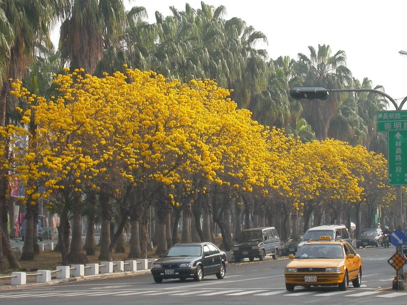 按此在新視窗瀏覽圖片