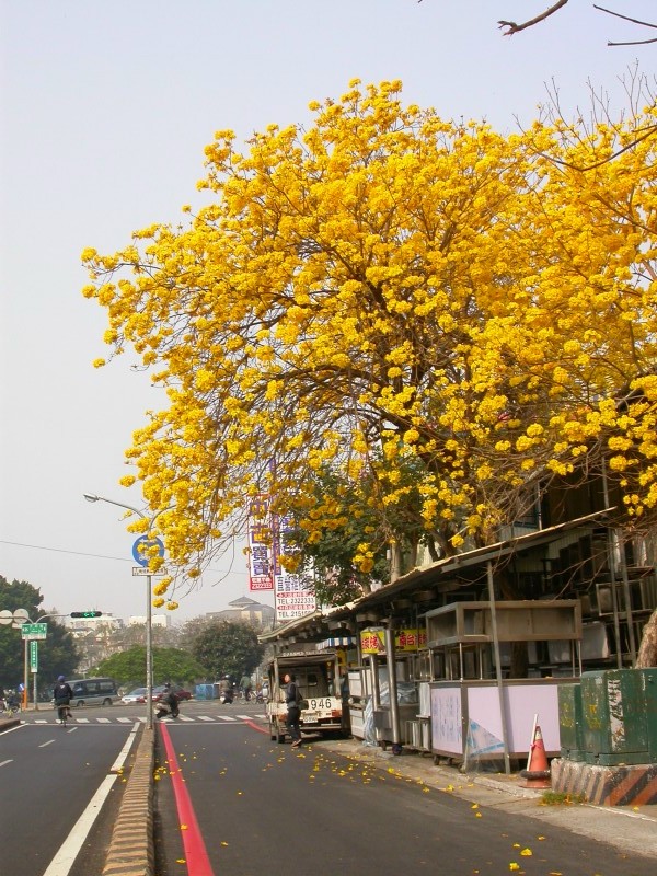 按此在新視窗瀏覽圖片