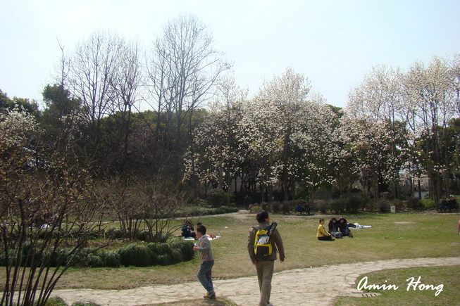 按此在新視窗瀏覽圖片