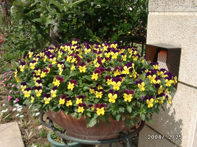 按此在新視窗瀏覽圖片