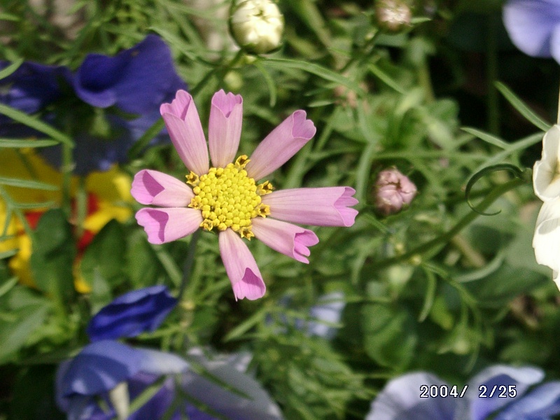 按此在新視窗瀏覽圖片