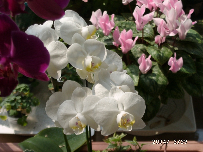 按此在新視窗瀏覽圖片