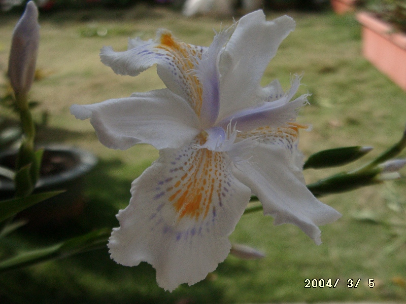 按此在新視窗瀏覽圖片