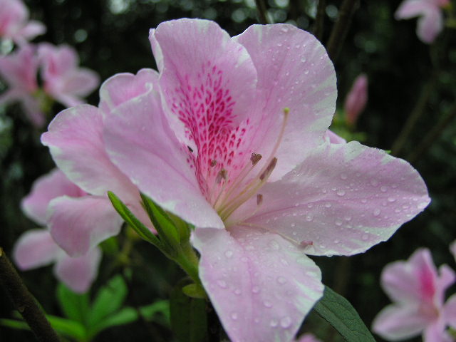 按此在新視窗瀏覽圖片