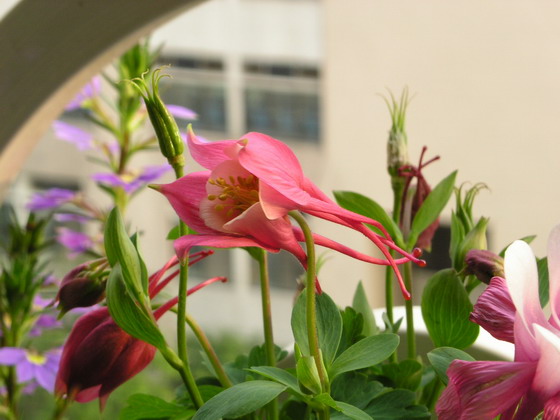 按此在新視窗瀏覽圖片