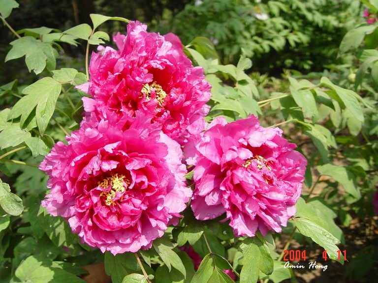 按此在新視窗瀏覽圖片