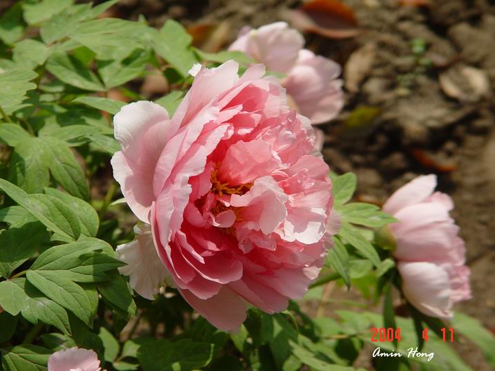 按此在新視窗瀏覽圖片