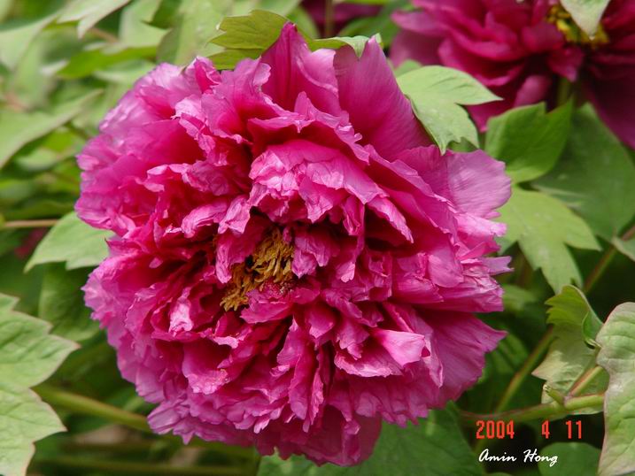 按此在新視窗瀏覽圖片