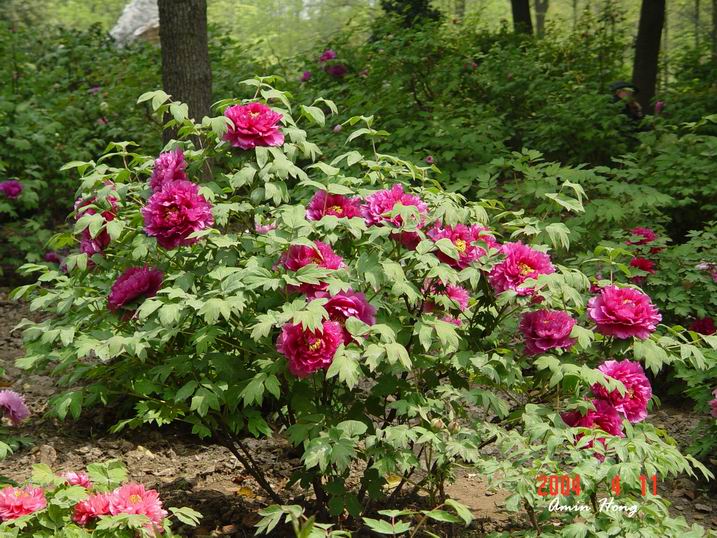 按此在新視窗瀏覽圖片