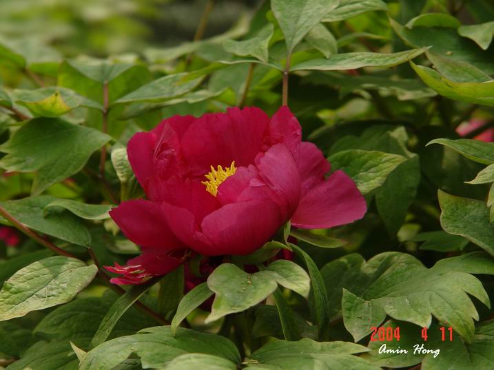 按此在新視窗瀏覽圖片