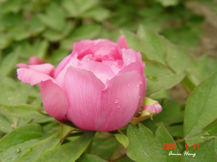 按此在新視窗瀏覽圖片