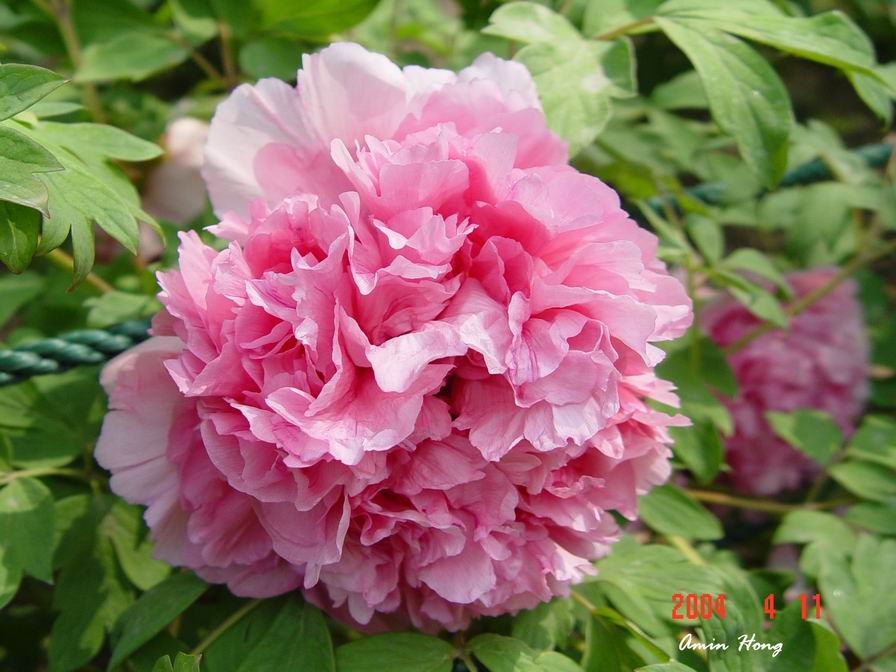 按此在新視窗瀏覽圖片