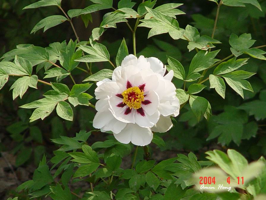 按此在新視窗瀏覽圖片