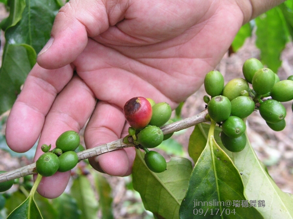 按此在新視窗瀏覽圖片