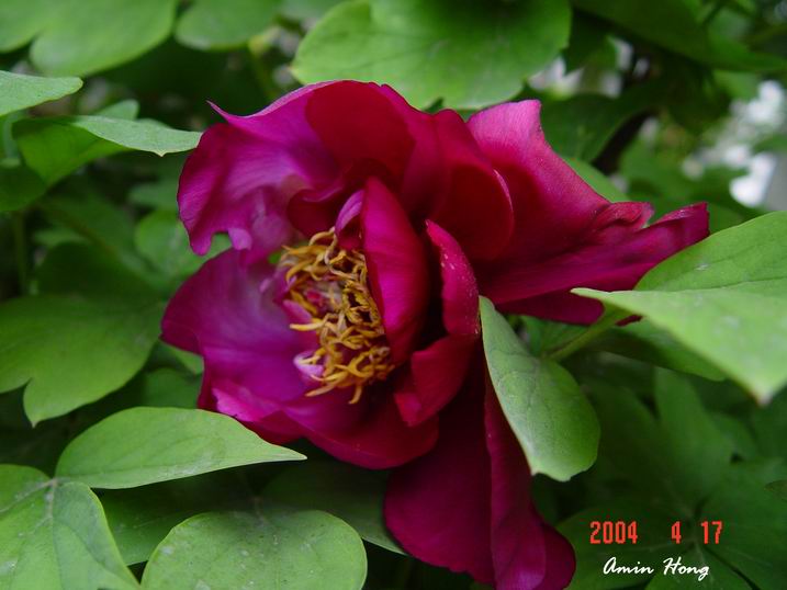 按此在新視窗瀏覽圖片