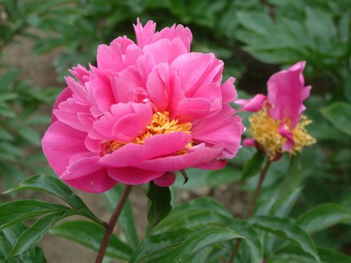 按此在新視窗瀏覽圖片