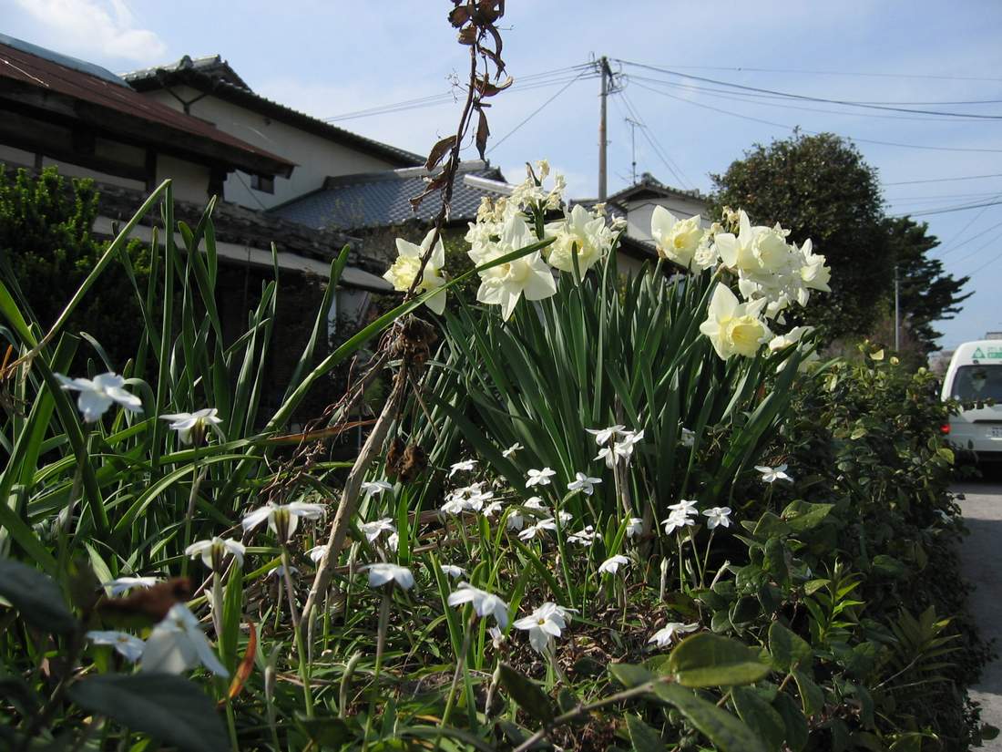 按此在新視窗瀏覽圖片