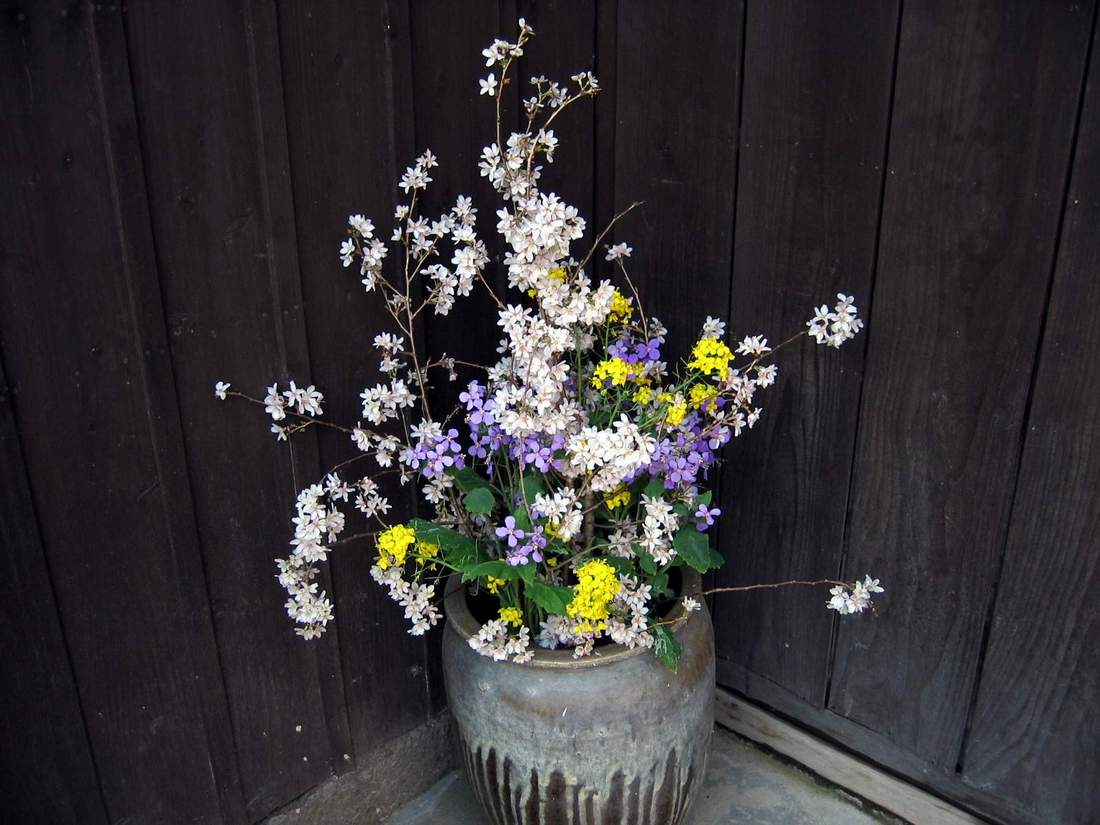 按此在新視窗瀏覽圖片