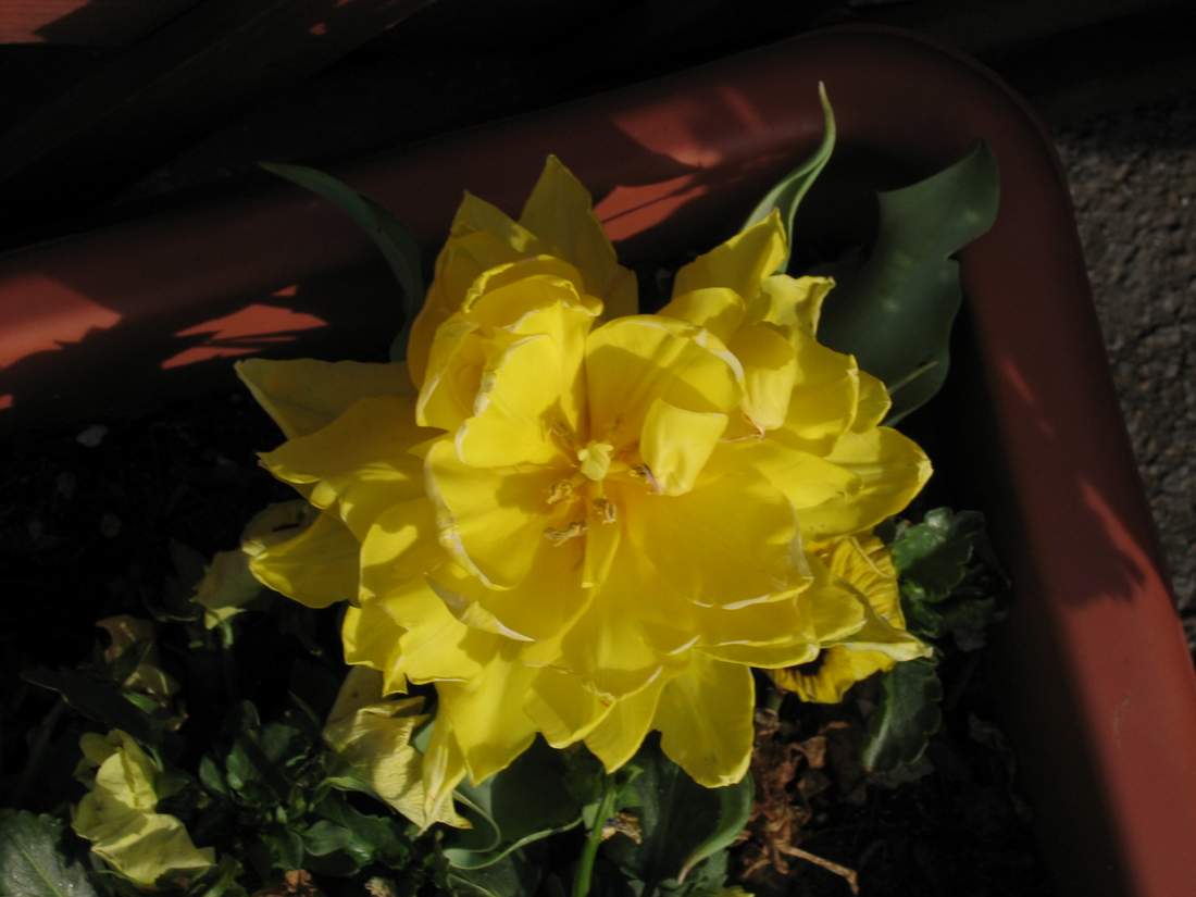 按此在新視窗瀏覽圖片