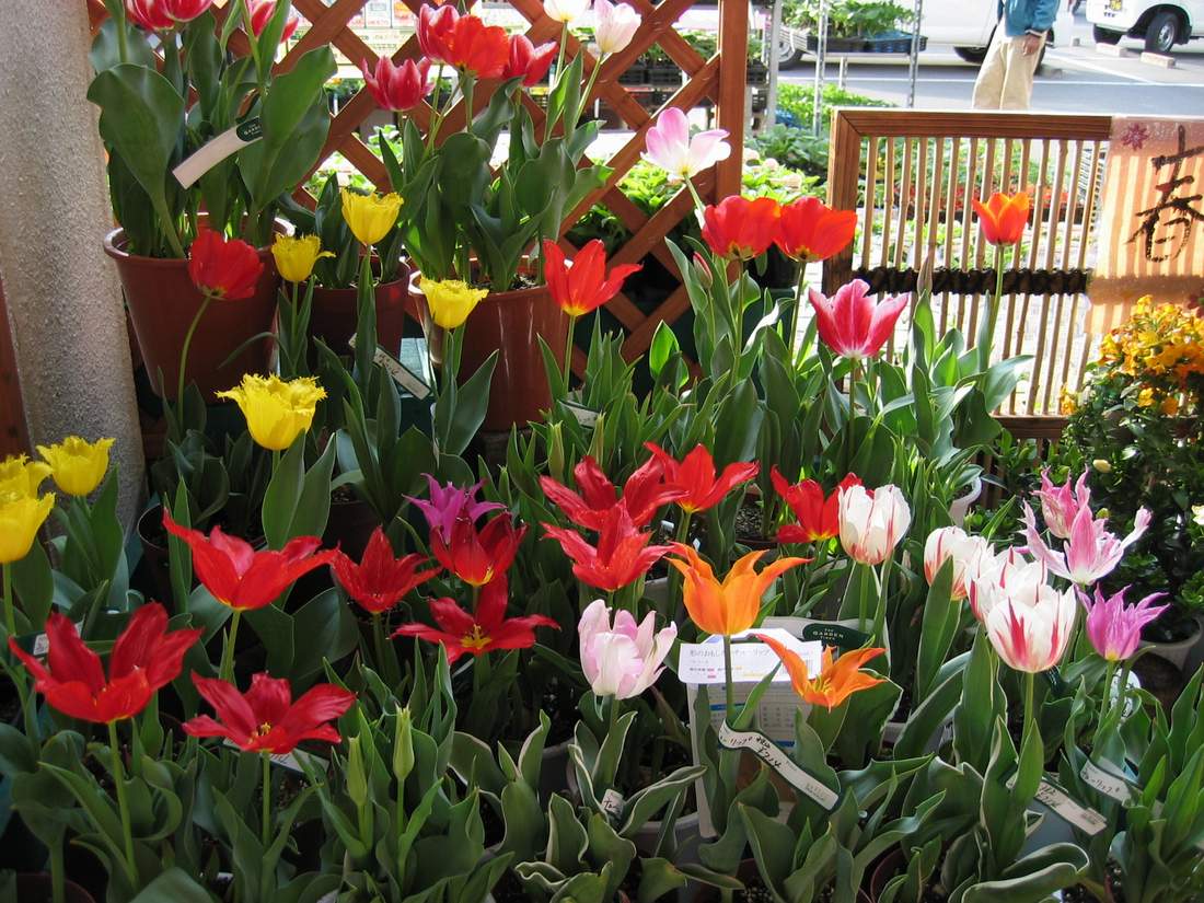 按此在新視窗瀏覽圖片