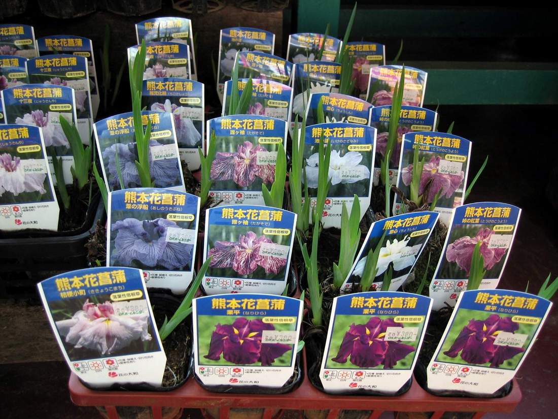 按此在新視窗瀏覽圖片